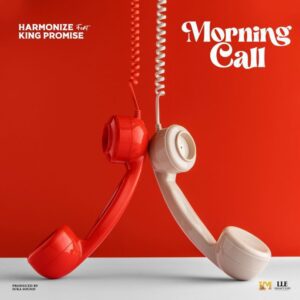 Harmonize – Morning Call