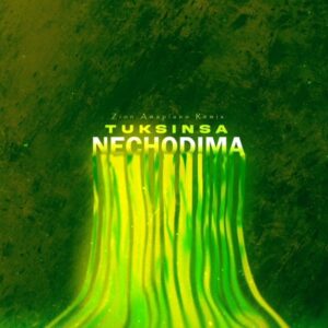 Tuksin SA – Nechodima (Zion Amapiano Remix)