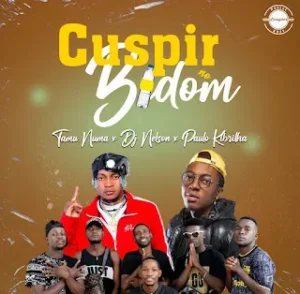 Tamu Numa x Dj Nelson x Paulo Kibrilha – Cuspir no Bidon