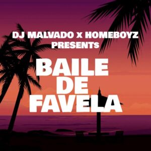 DJ Malvado – Baile de Favela (feat Homeboyz)