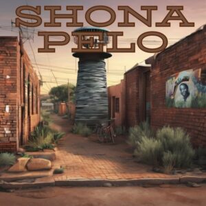 DJ ANUNNAKI, Daliwonga & Tonton Lusambo – Shona Pelo