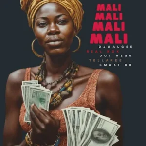 DJ Walgee x Real Nox x Tellapee, Smaki 08 x Dot Mega – MALI