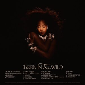 Tems – Born in the Wild