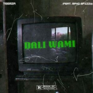 Teemza – Dali Wami (feat. Mpho Spizzy)