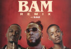 TitoM & Yuppe – Tshwala Bam (Remix) feat. Burna Boy & S.N.E