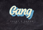 Roley & AOPDH – Gang